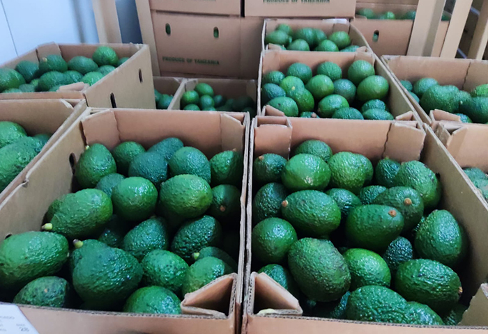 hass avocado