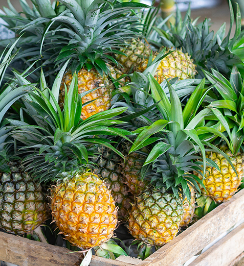 pineapples
