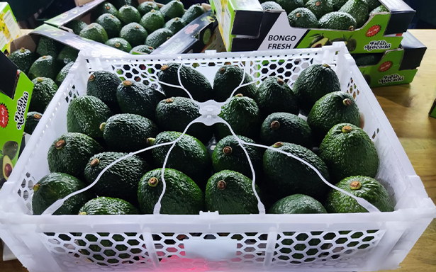 Post-Harvest Handling
