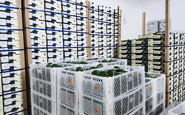 Storage Conditions